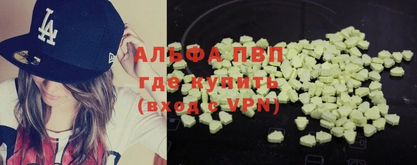 винт Абаза