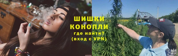 бошки Абинск