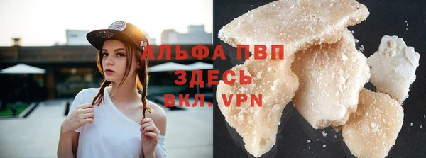 винт Абаза