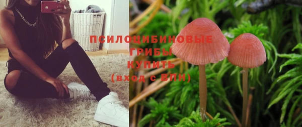 молекула духа Новозыбков